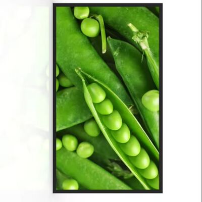 Αγορά 32 ιντσών Ultra-Narrow Bezel εξωτερική οθόνη LCD με 3000nits φωτεινότητα IP67 Αδιάβροχο και αντι-φως γυαλί για εμπορικά κέντρα & ανελκυστήρες ηλεκτρονική κατασκευή