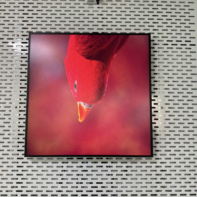 Ανάλυση 948*948 Square All In One Digital Signage με USB HDMI RJ45 Interface